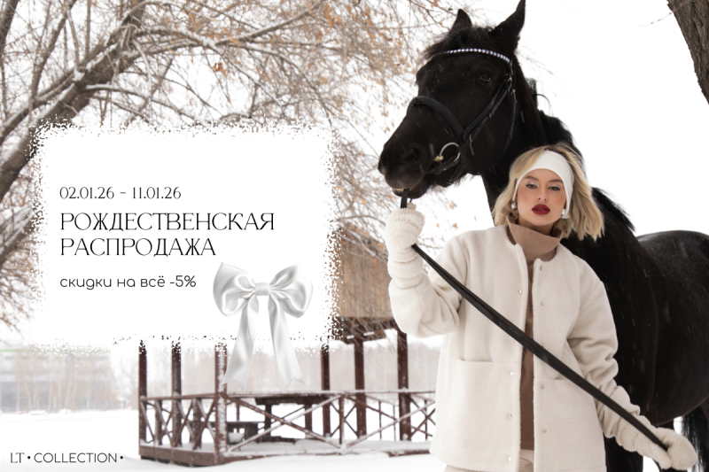 Рождественская распродажа 2026